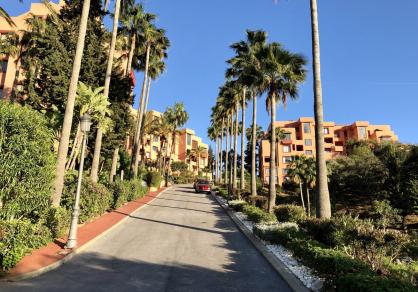 Appartement - Rez-de-chaussée, Ojén Costa del Sol Málaga R4709698-Rental 35