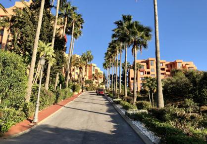 Apartment - Ground Floor, Ojén Costa del Sol Málaga R4709698-Rental 34