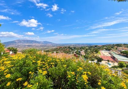  55
