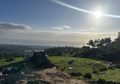  63