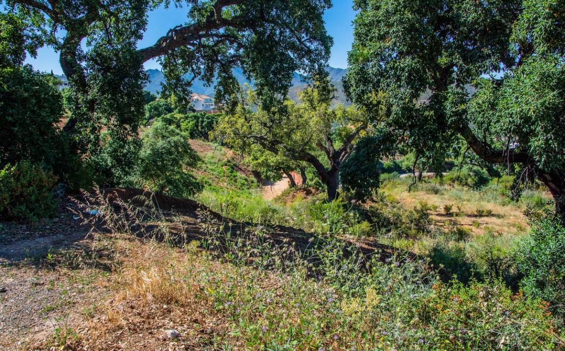 Terreno - Residencial, La Mairena Costa del Sol Málaga R3292945 2