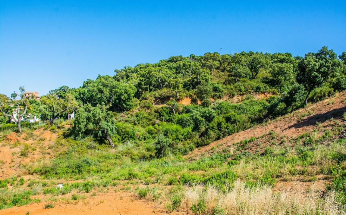 Plot - Residential, La Mairena Costa del Sol Málaga R3292945 6