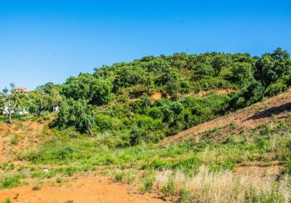 Plot - Residential, La Mairena Costa del Sol Málaga R3292945 14