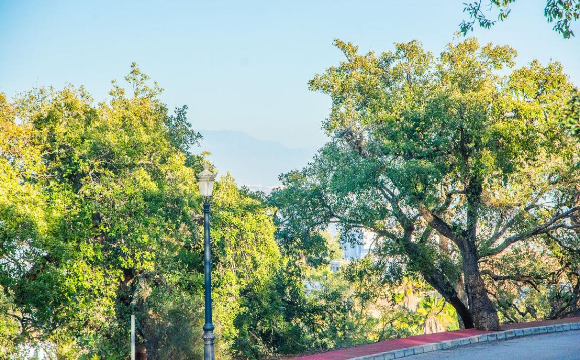 Plot - Residential, La Mairena Costa del Sol Málaga R4620436 2