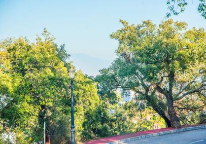 Plot - Residential, La Mairena Costa del Sol Málaga R4620436 12