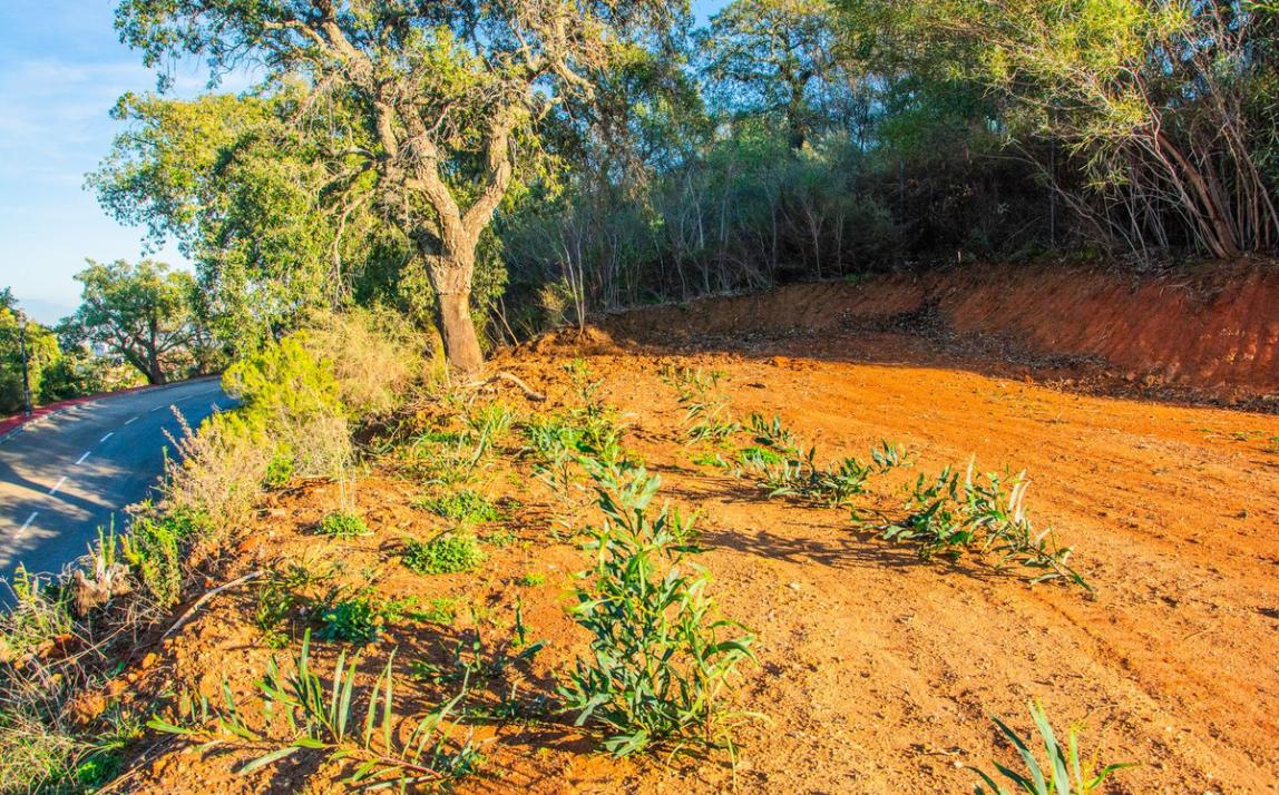 Plot - Residential, La Mairena Costa del Sol Málaga R4620436 6