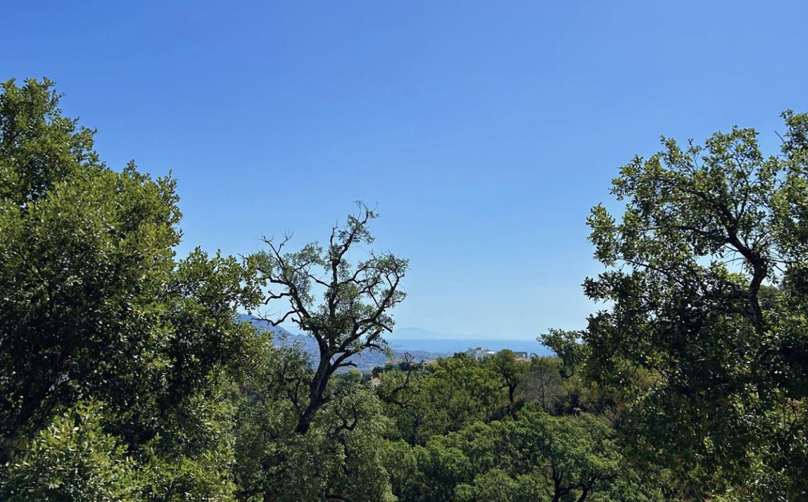 Terreno - Residencial, La Mairena Costa del Sol Málaga R4786558 4