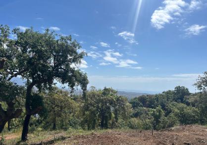 Terrain - Résidentiel, La Mairena Costa del Sol Málaga R5462953 6