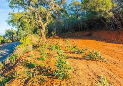 Villa - Independiente, La Mairena Costa del Sol Málaga R4791493 20