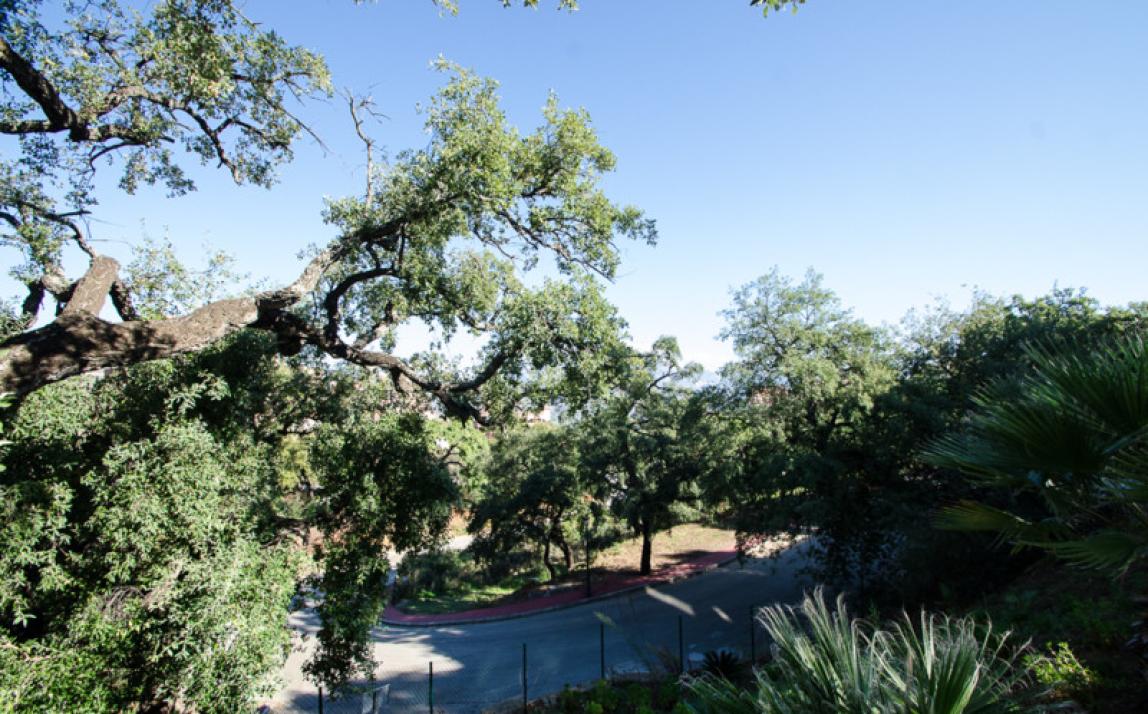 Villa - Detached, La Mairena Costa del Sol Málaga R4988467 6