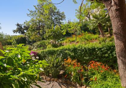 Villa - Independiente, La Mairena Costa del Sol Málaga R5430460 116