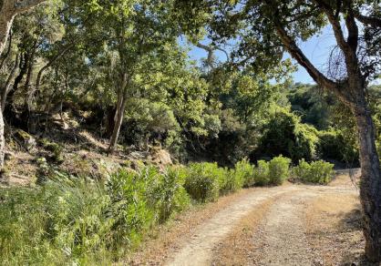 Villa - Finca, Castellar de la Frontera Costa de la Luz Cádiz R4020931 49