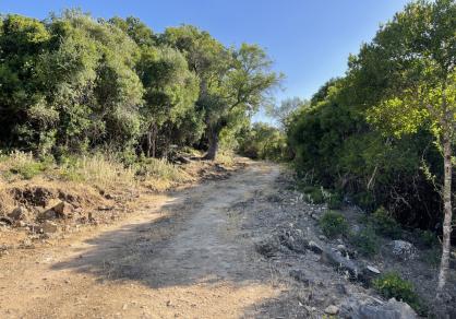 Villa - Finca, Castellar de la Frontera Costa de la Luz Cádiz R4020931 56