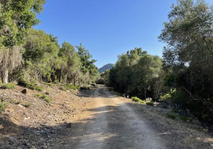 Villa - Finca, Castellar de la Frontera Costa de la Luz Cádiz R4020931 57