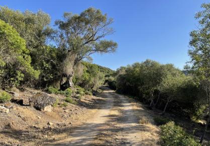Villa - Finca, Castellar de la Frontera Costa de la Luz Cádiz R4020931 58