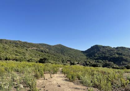 Villa - Finca, Castellar de la Frontera Costa de la Luz Cádiz R4020931 66