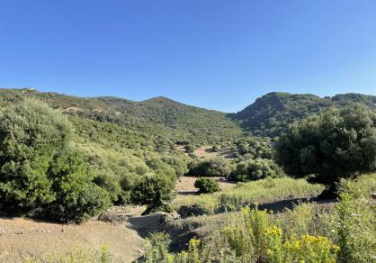 Villa - Finca, Castellar de la Frontera Costa de la Luz Cádiz R4020931 67