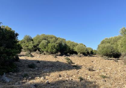 Villa - Finca, Castellar de la Frontera Costa de la Luz Cádiz R4020931 69