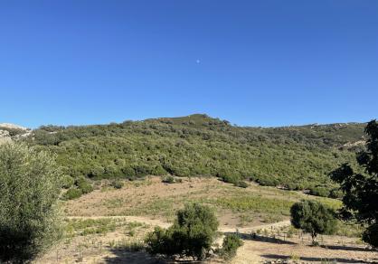 Villa - Finca, Castellar de la Frontera Costa de la Luz Cádiz R4020931 74