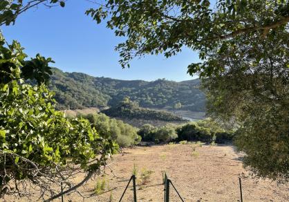 Villa - Finca, Castellar de la Frontera Costa de la Luz Cádiz R4020931 76