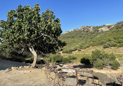 Villa - Finca, Castellar de la Frontera Costa de la Luz Cádiz R4020931 75