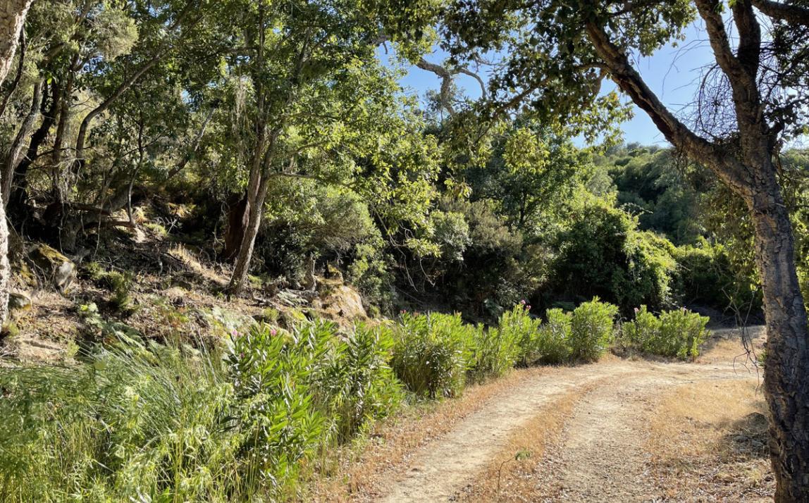 Вилла - Финка, Castellar de la Frontera Costa de la Luz Cádiz R4020931 4