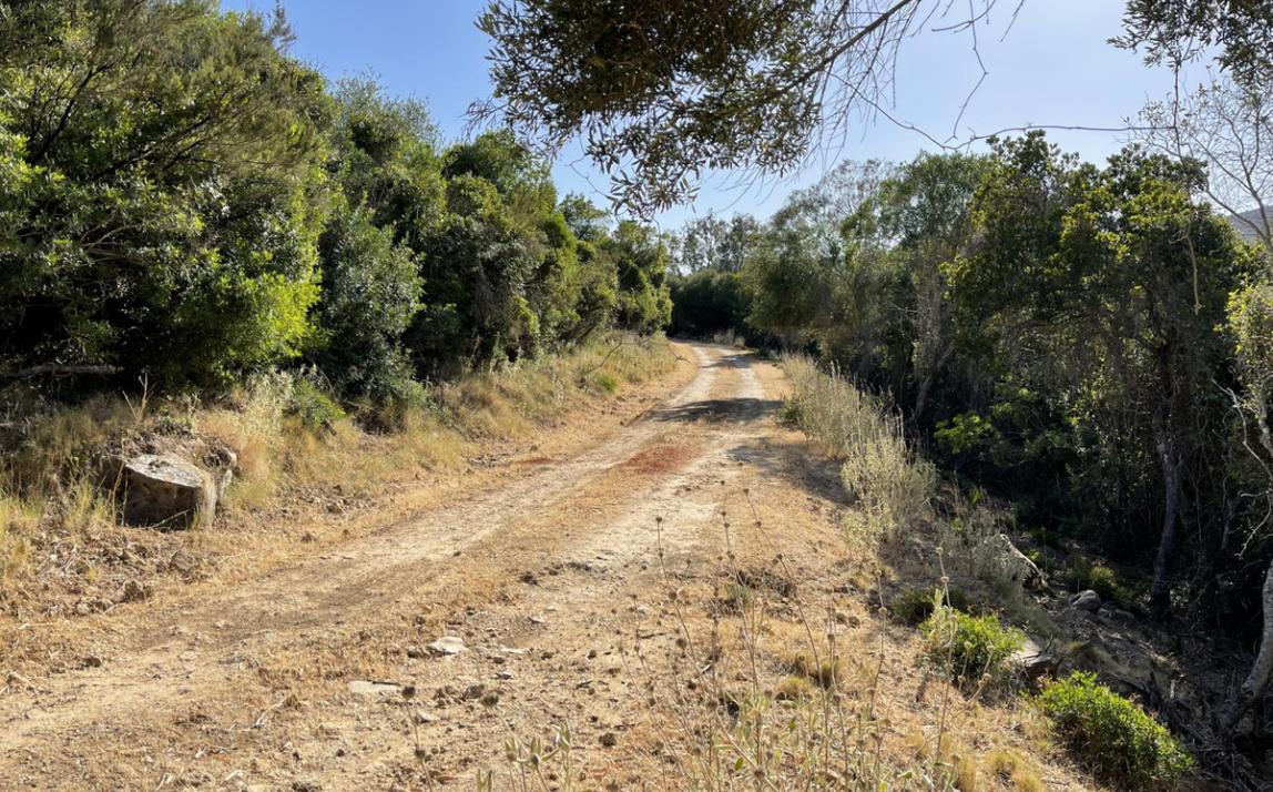 Вилла - Финка, Castellar de la Frontera Costa de la Luz Cádiz R4020931 5
