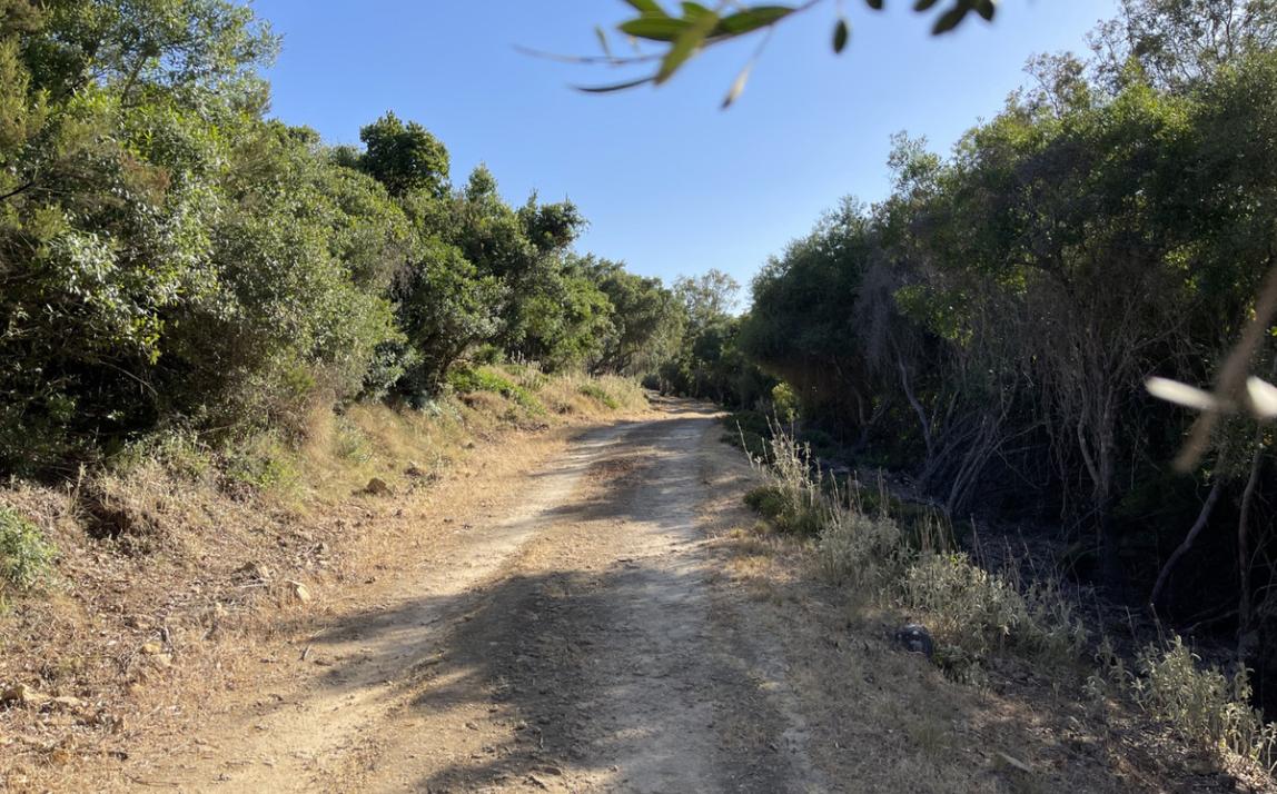 Вилла - Финка, Castellar de la Frontera Costa de la Luz Cádiz R4020931 6
