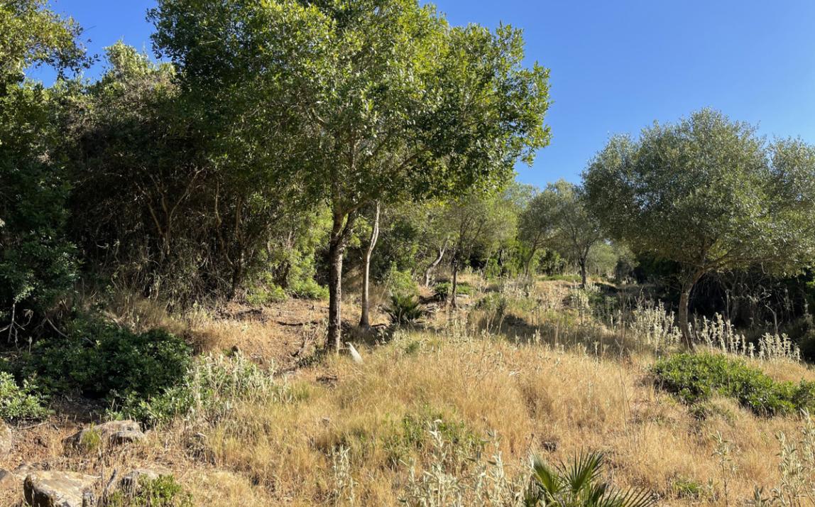 Вилла - Финка, Castellar de la Frontera Costa de la Luz Cádiz R4020931 7
