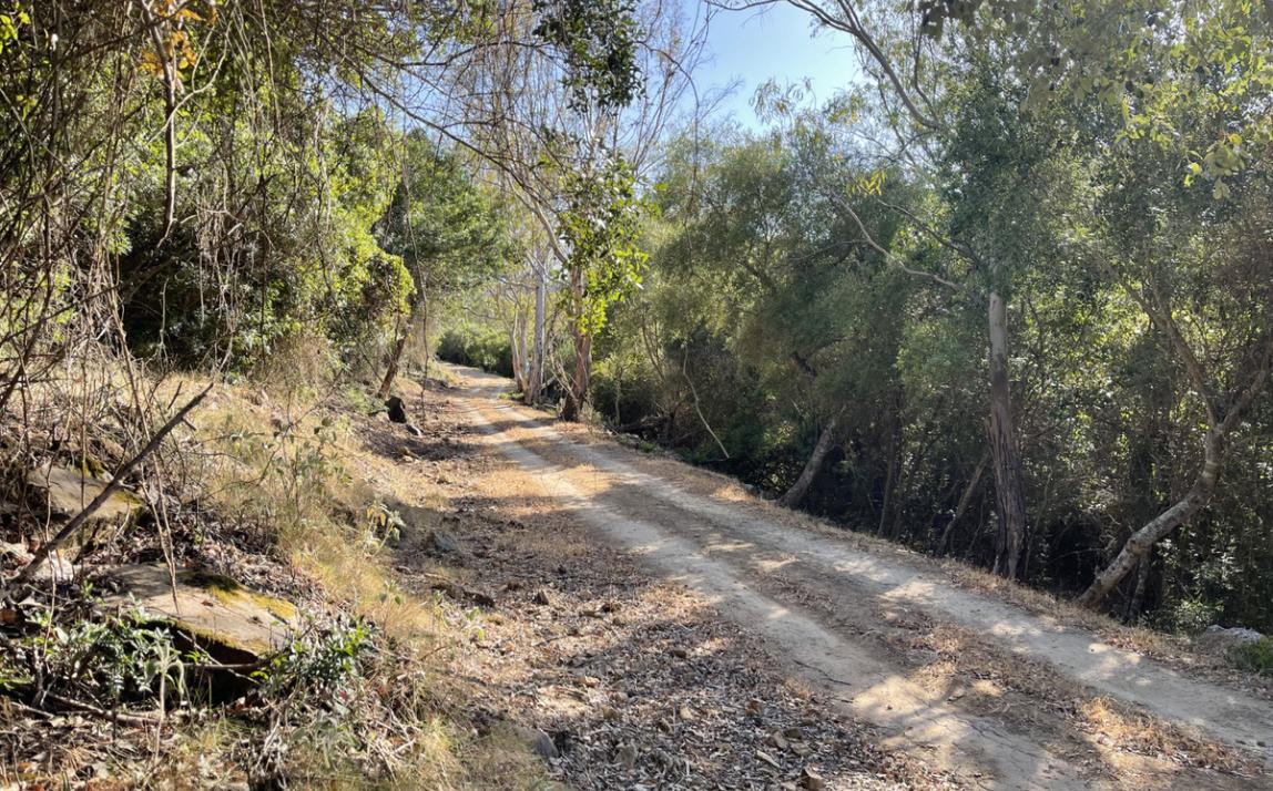 Вилла - Финка, Castellar de la Frontera Costa de la Luz Cádiz R4020931 8
