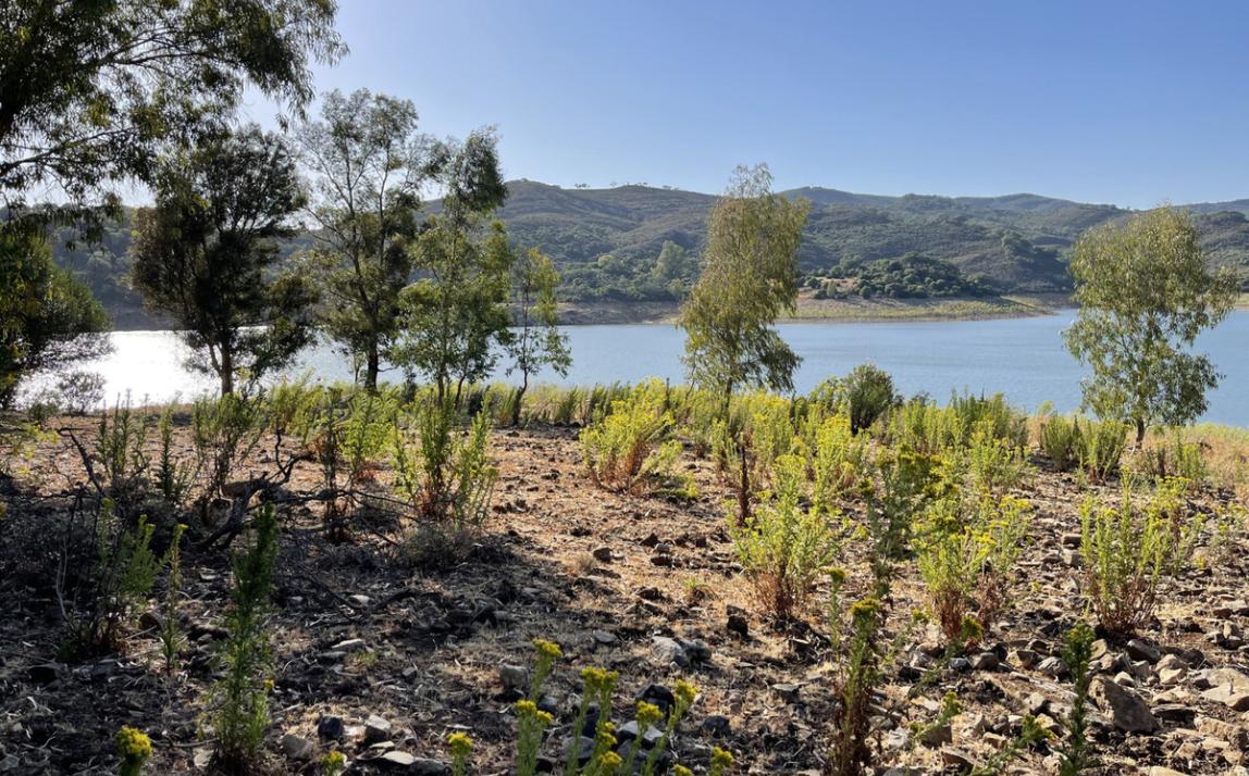 Вилла - Финка, Castellar de la Frontera Costa de la Luz Cádiz R4020931 10