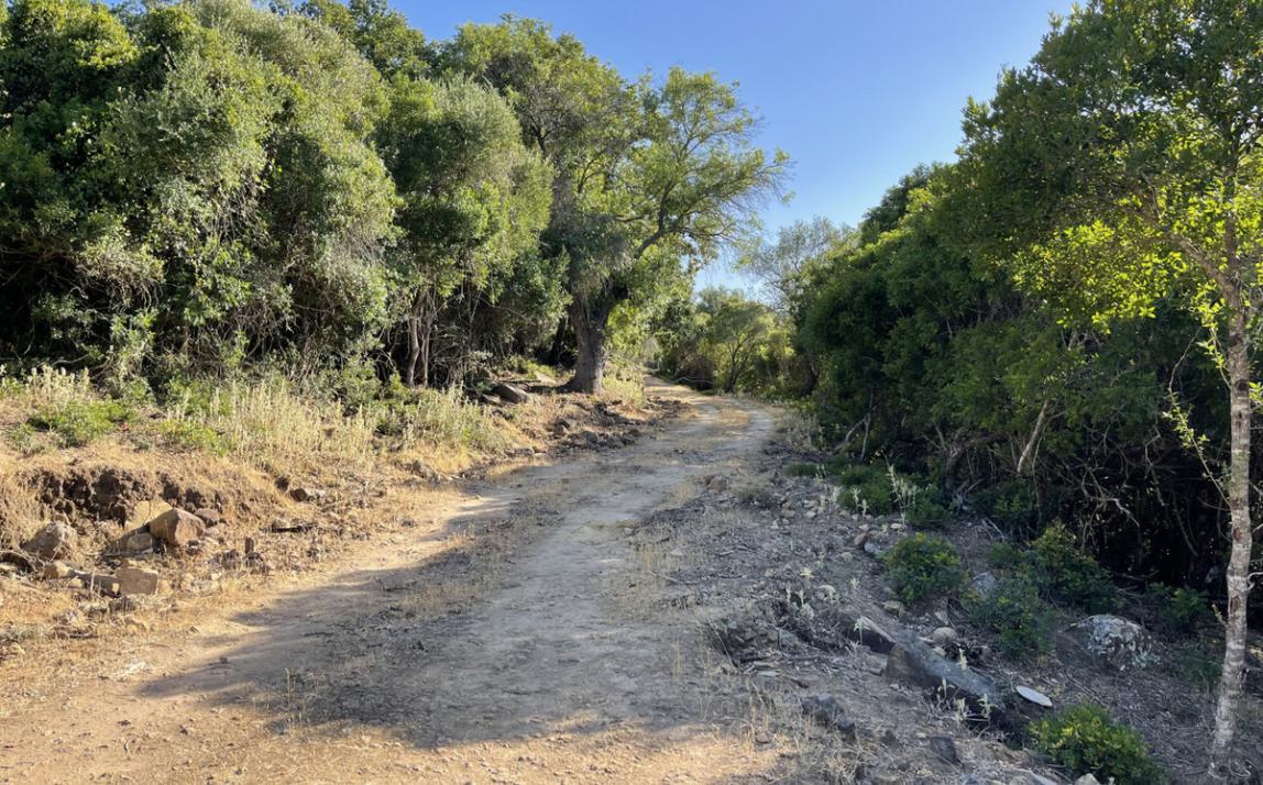 Вилла - Финка, Castellar de la Frontera Costa de la Luz Cádiz R4020931 11