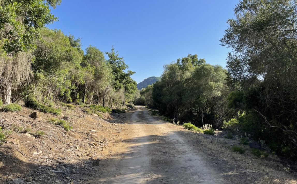 Вилла - Финка, Castellar de la Frontera Costa de la Luz Cádiz R4020931 12