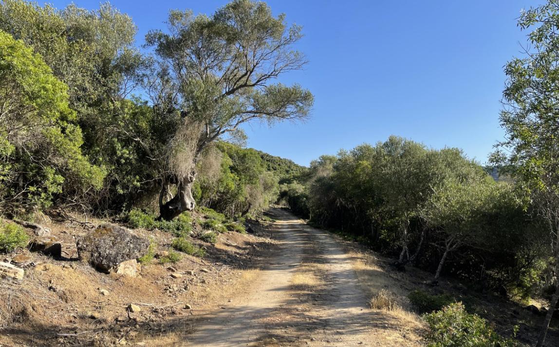 Вилла - Финка, Castellar de la Frontera Costa de la Luz Cádiz R4020931 13