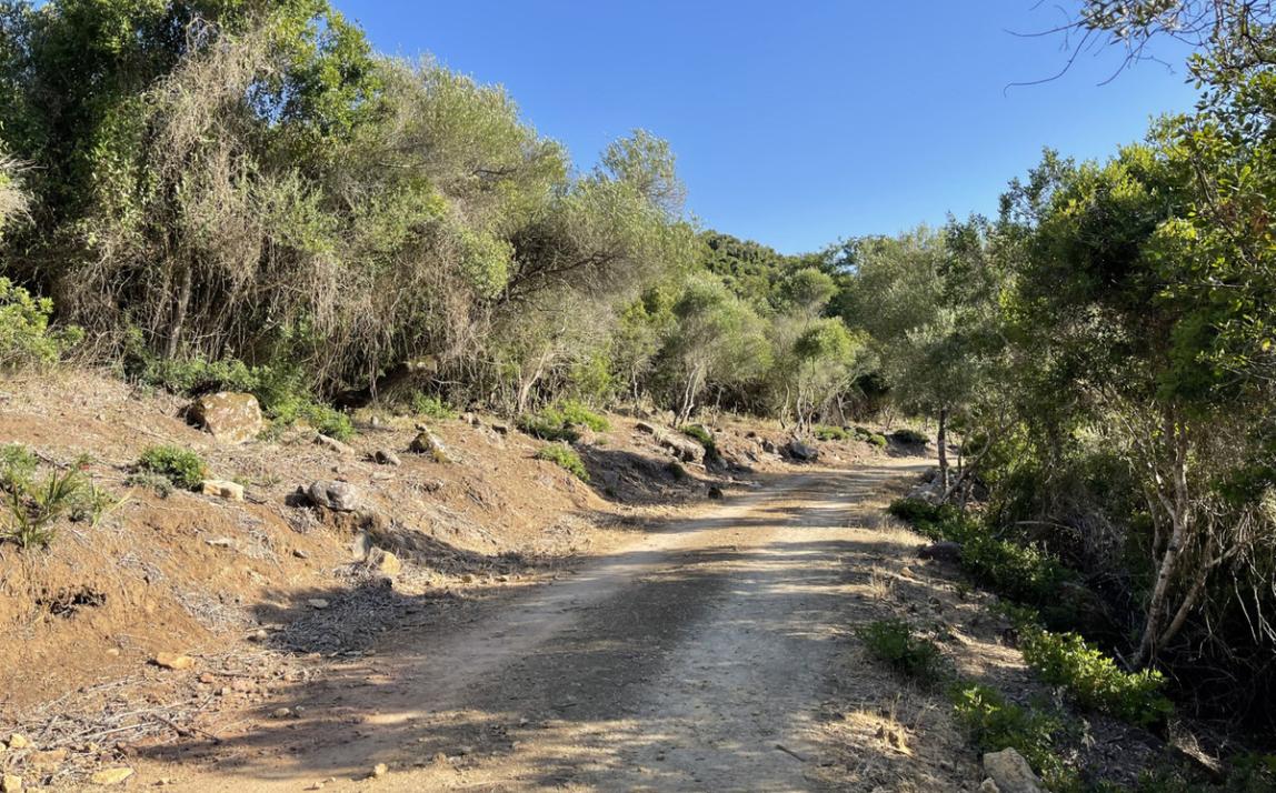 Вилла - Финка, Castellar de la Frontera Costa de la Luz Cádiz R4020931 14