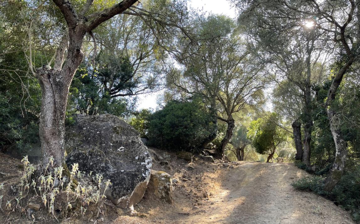 Вилла - Финка, Castellar de la Frontera Costa de la Luz Cádiz R4020931 15