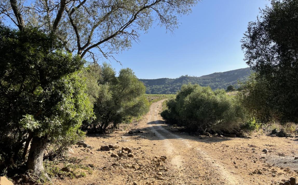 Вилла - Финка, Castellar de la Frontera Costa de la Luz Cádiz R4020931 17