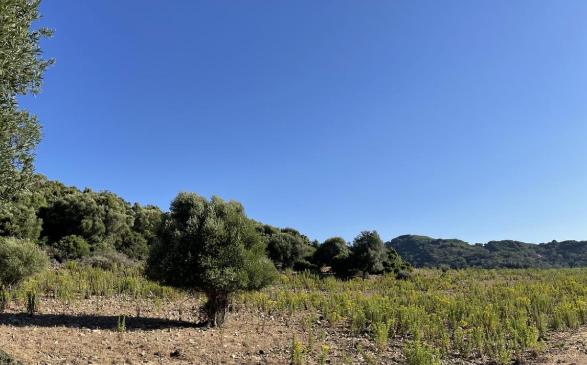 Вилла - Финка, Castellar de la Frontera Costa de la Luz Cádiz R4020931 18