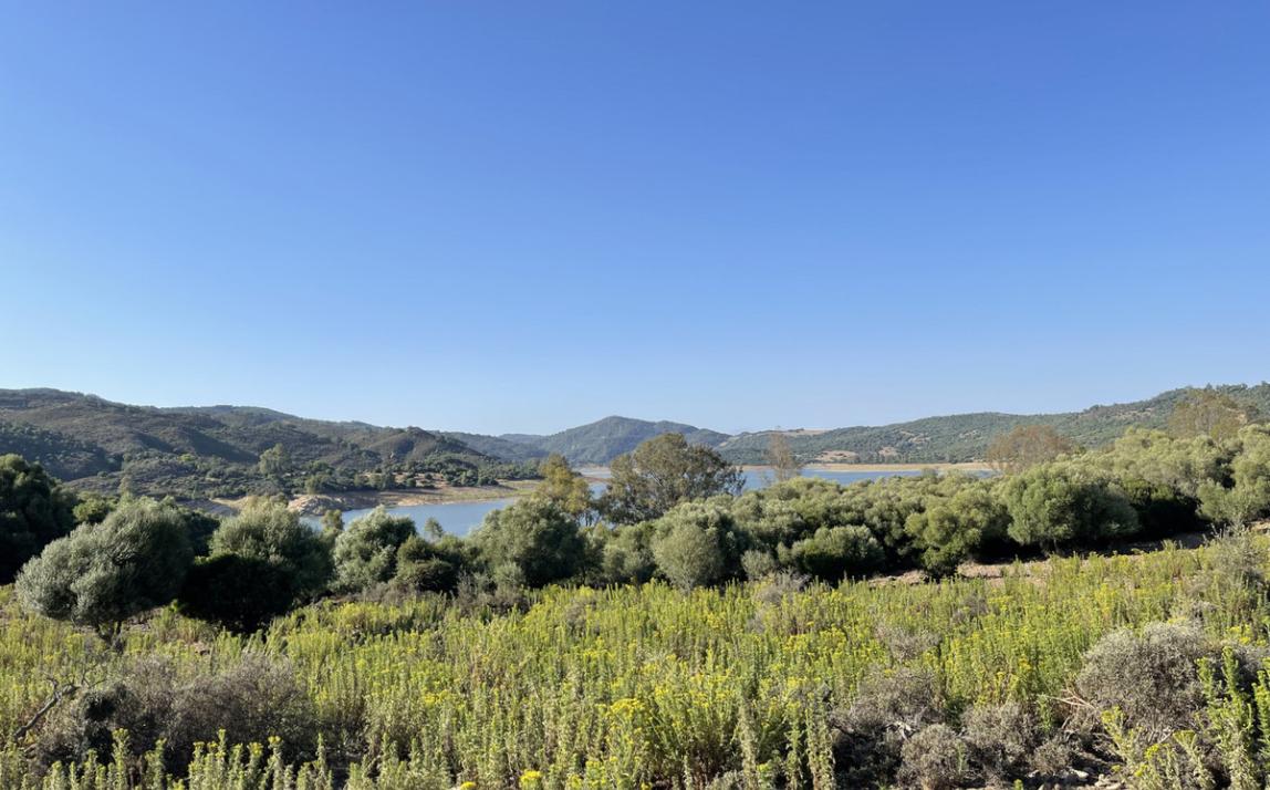 Вилла - Финка, Castellar de la Frontera Costa de la Luz Cádiz R4020931 20