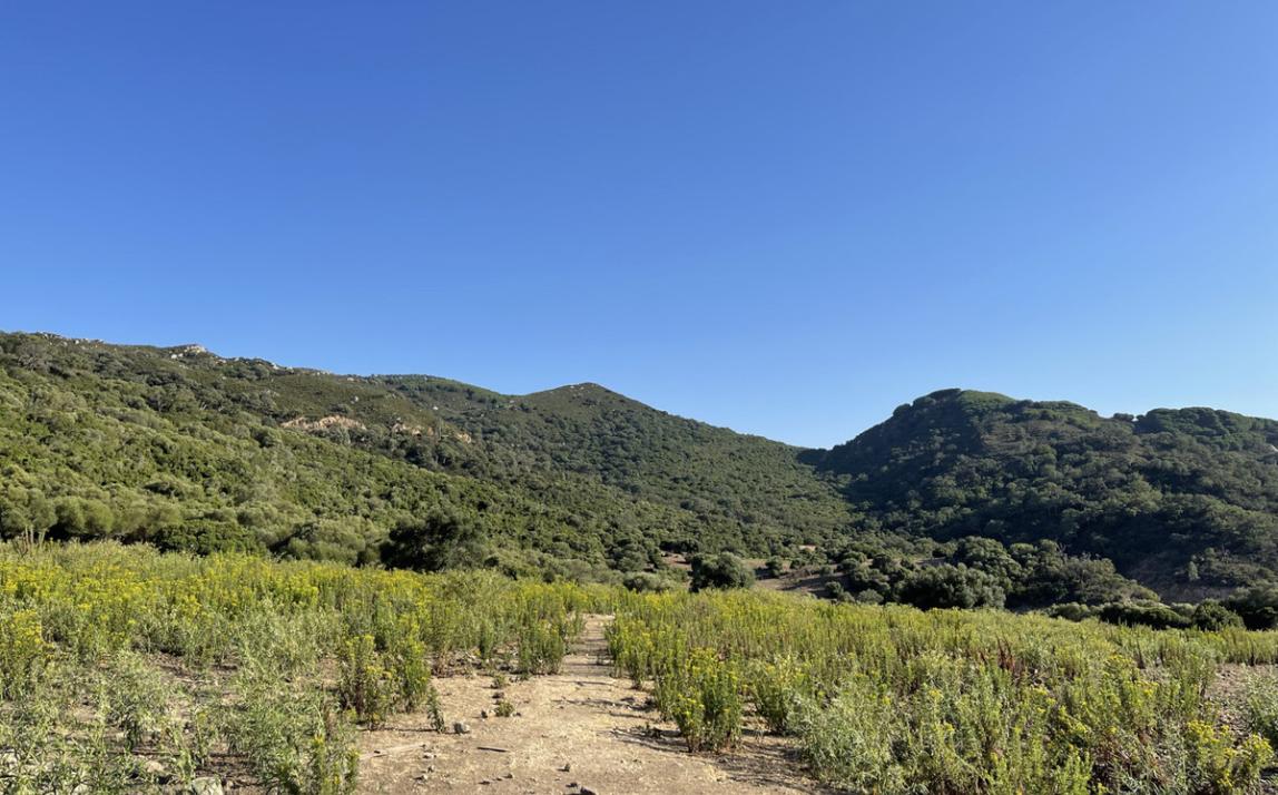 Вилла - Финка, Castellar de la Frontera Costa de la Luz Cádiz R4020931 21