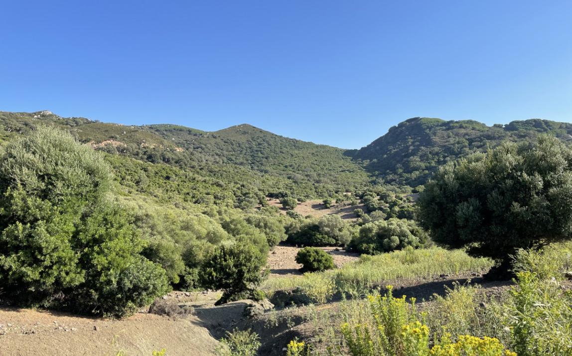 Вилла - Финка, Castellar de la Frontera Costa de la Luz Cádiz R4020931 22