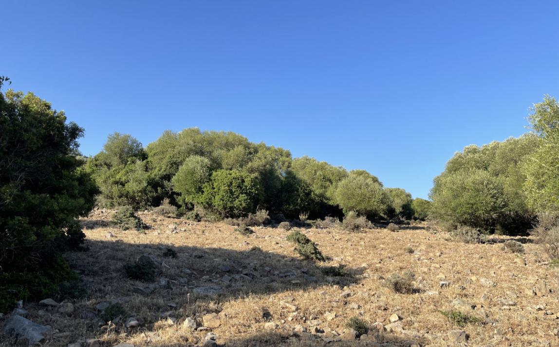 Вилла - Финка, Castellar de la Frontera Costa de la Luz Cádiz R4020931 24