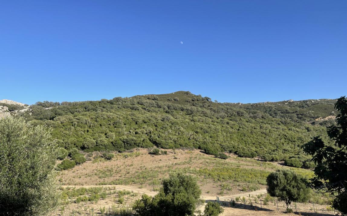 Вилла - Финка, Castellar de la Frontera Costa de la Luz Cádiz R4020931 29