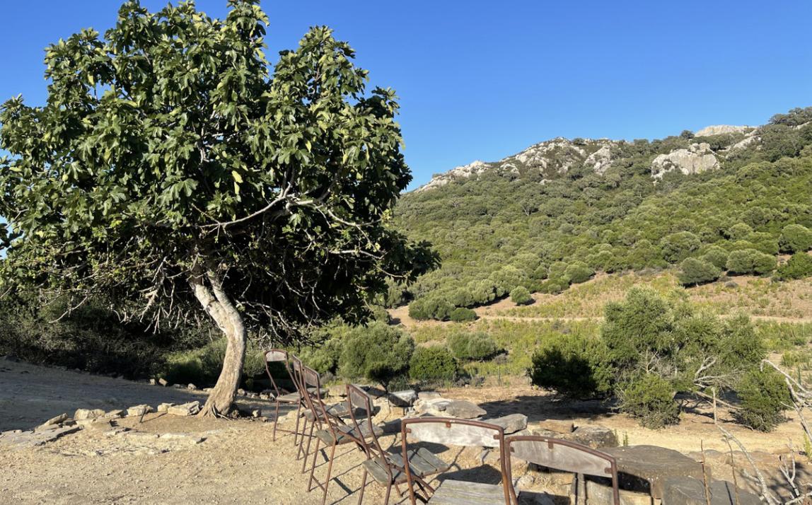 Вилла - Финка, Castellar de la Frontera Costa de la Luz Cádiz R4020931 30