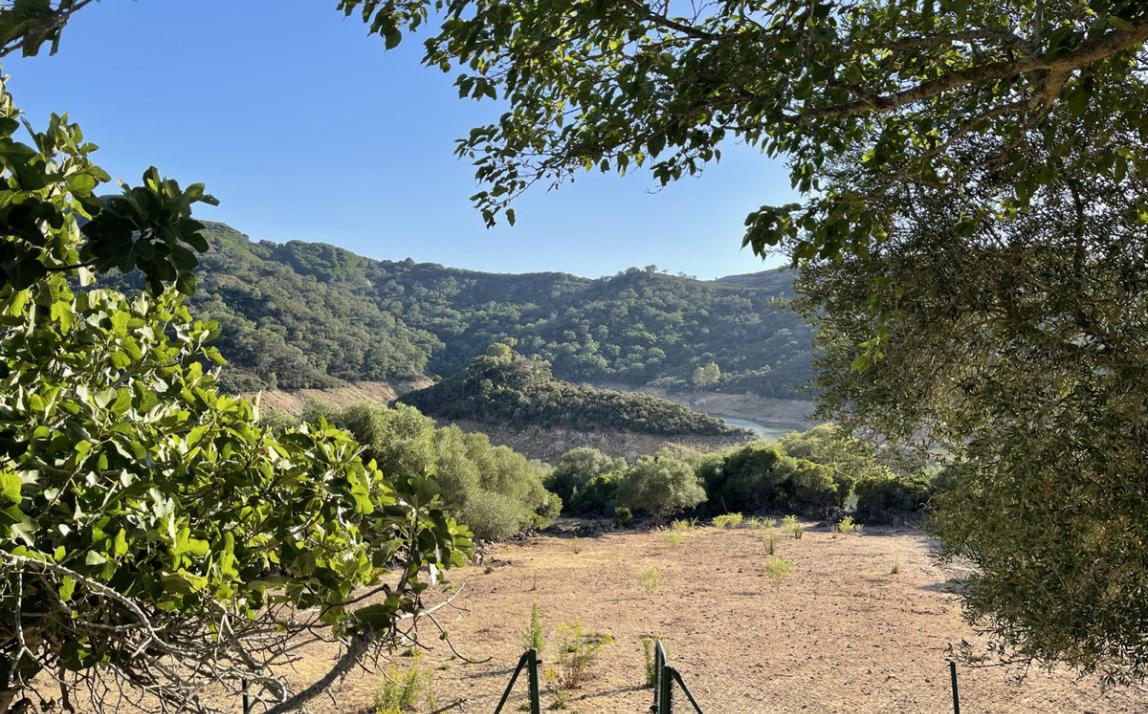 Вилла - Финка, Castellar de la Frontera Costa de la Luz Cádiz R4020931 31