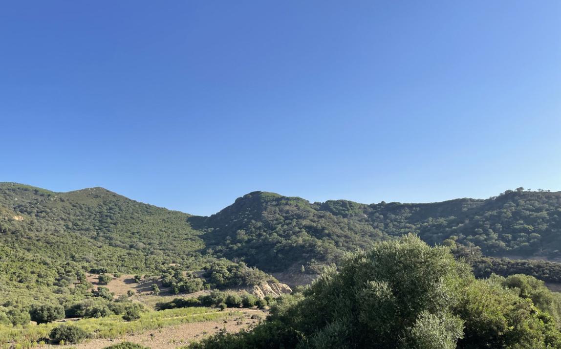 Вилла - Финка, Castellar de la Frontera Costa de la Luz Cádiz R4020931 33