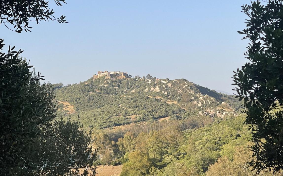 Вилла - Финка, Castellar de la Frontera Costa de la Luz Cádiz R4020931 35
