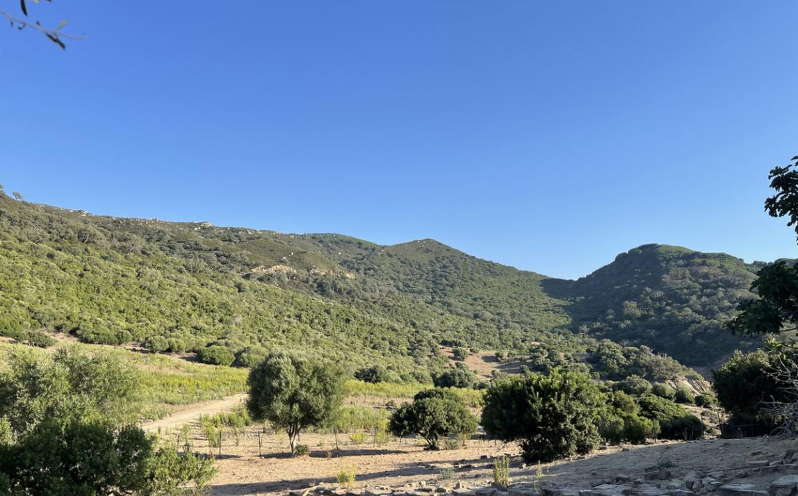 Вилла - Финка, Castellar de la Frontera Costa de la Luz Cádiz R4020931 36