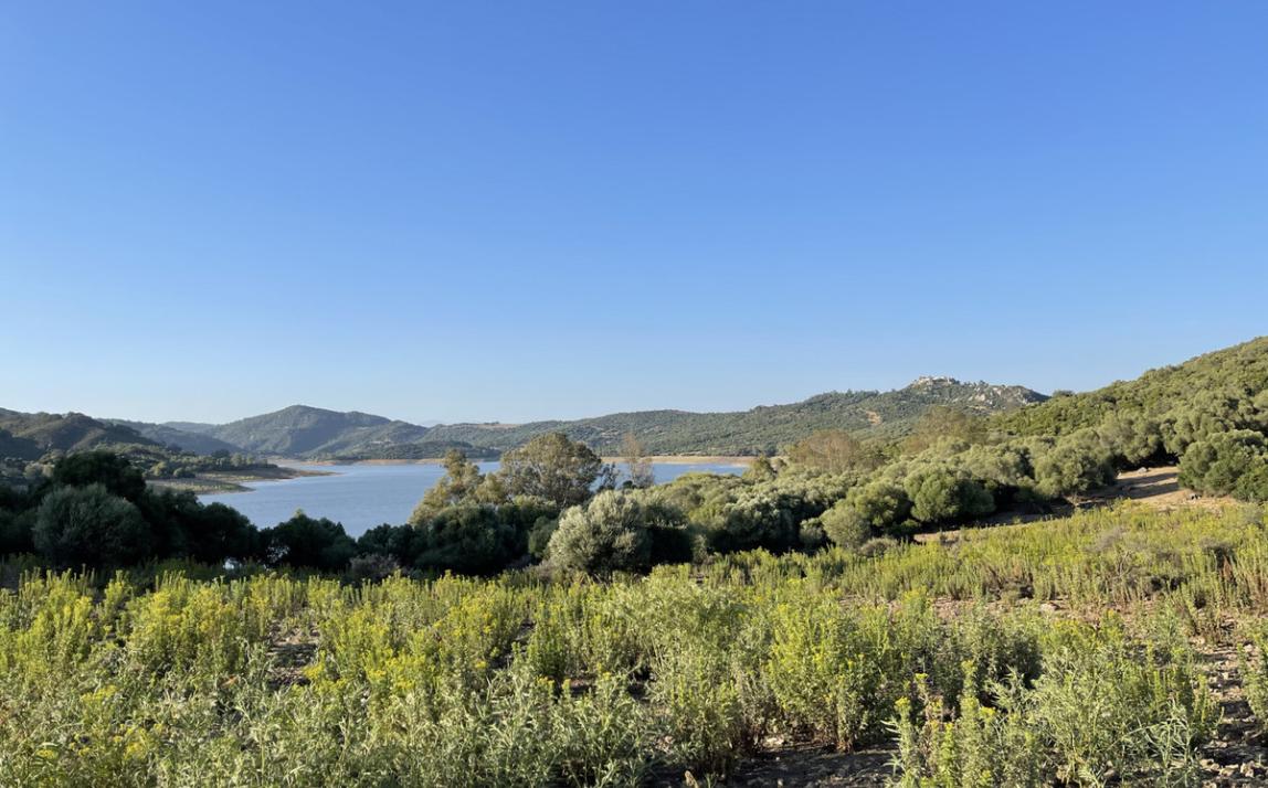 Вилла - Финка, Castellar de la Frontera Costa de la Luz Cádiz R4020931 41