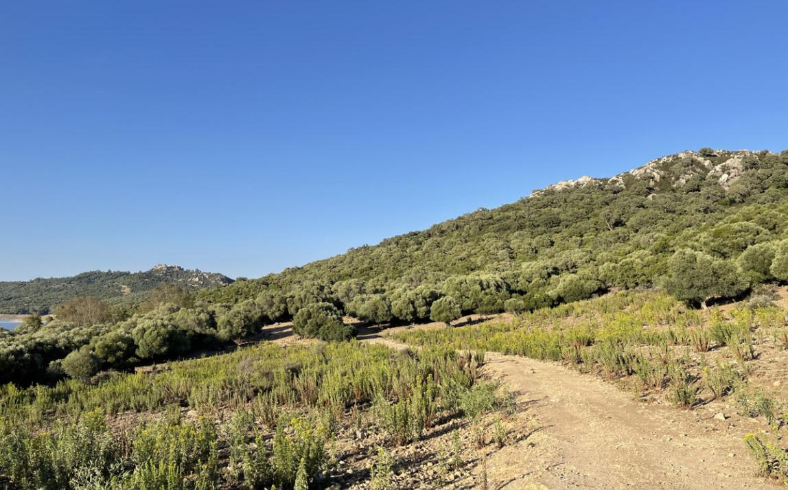 Вилла - Финка, Castellar de la Frontera Costa de la Luz Cádiz R4020931 42